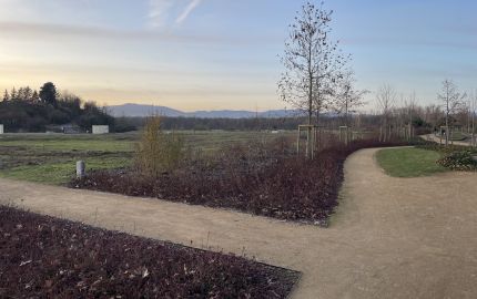 Photo du chantier - Résidence Le Michigan