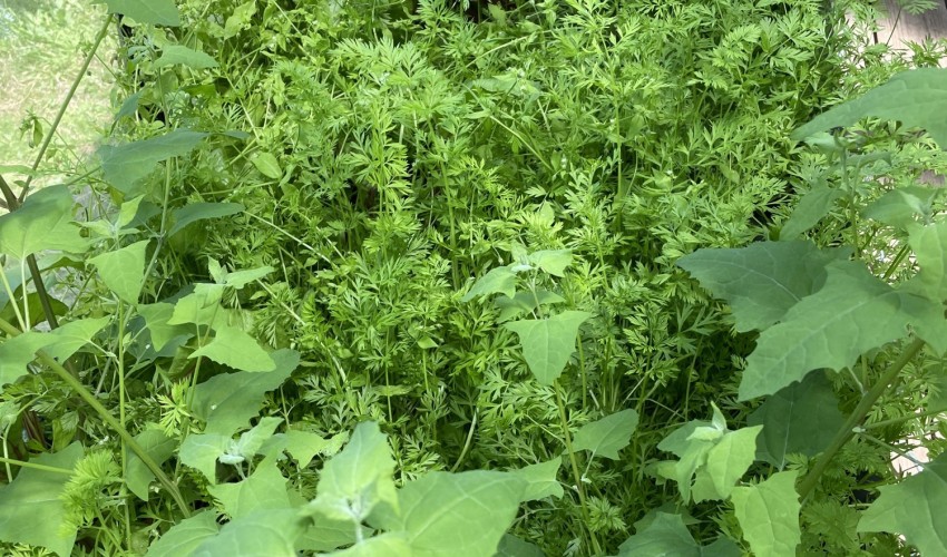 Reportage chantier - juin 2023