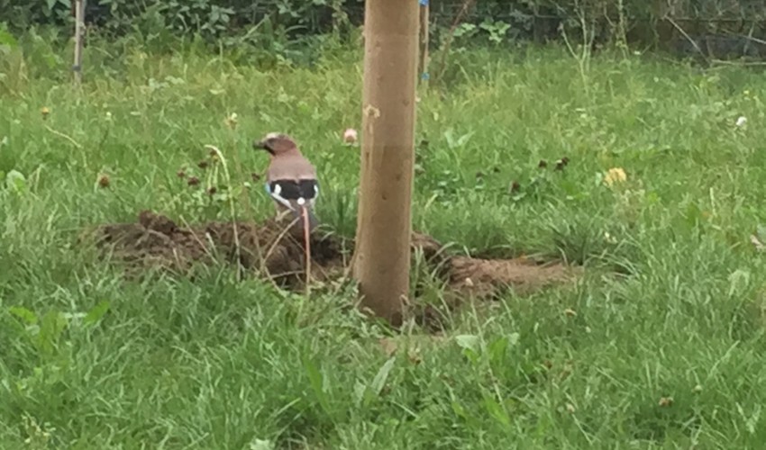 Reportage chantier - 