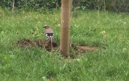 Photo du chantier - Résidence Saint-Charles